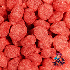 *NEW PRODUCT* Sour Watermelon Viral Gushers Splash Blastz 6oz Candy