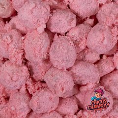 Watermelon Cotton Candy Viral Gushers Splash Blastz 6oz Candy